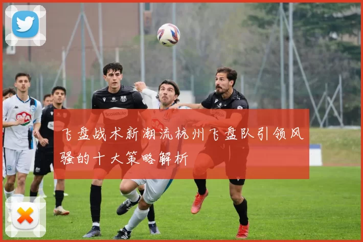 飞盘战术新潮流杭州飞盘队引领风骚的十大策略解析