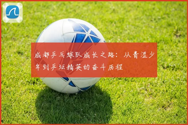 成都乒乓球队成长之路：从青涩少年到乒坛精英的奋斗历程
