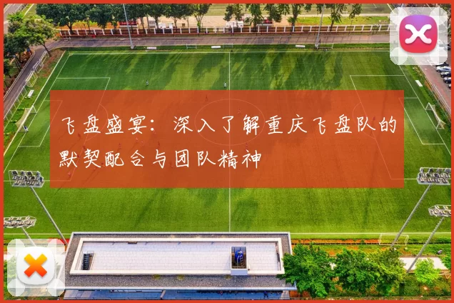 飞盘盛宴：深入了解重庆飞盘队的默契配合与团队精神