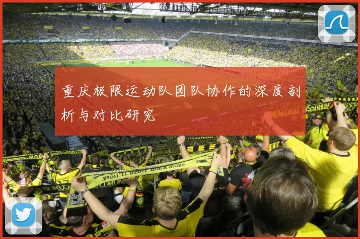重庆极限运动队团队协作的深度剖析与对比研究