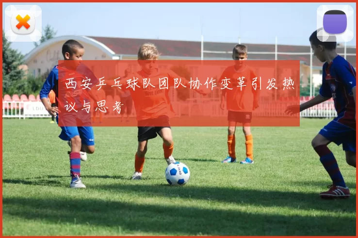 西安乒乓球队团队协作变革引发热议与思考