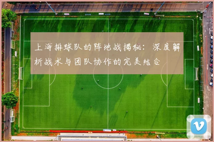 上海排球队的阵地战揭秘：深度解析战术与团队协作的完美结合