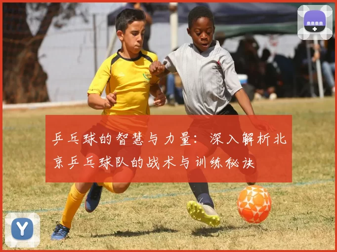 乒乓球的智慧与力量：深入解析北京乒乓球队的战术与训练秘诀