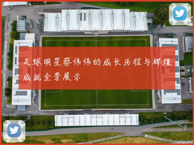足球明星蔡伟伟的成长历程与辉煌成就全景展示