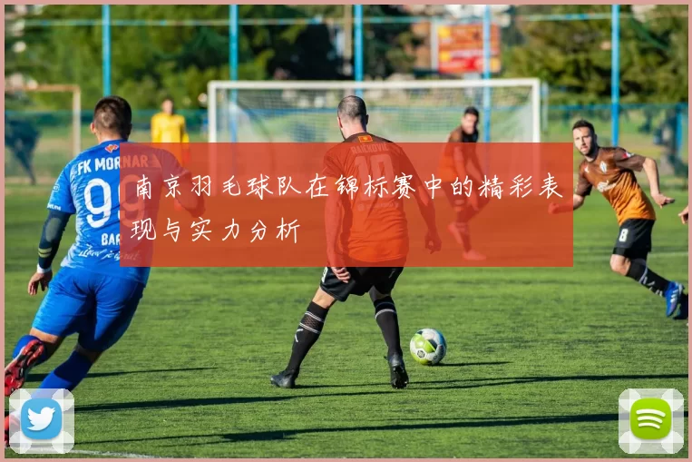 南京羽毛球队在锦标赛中的精彩表现与实力分析