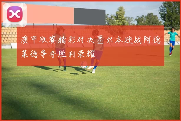 澳甲联赛精彩对决墨尔本迎战阿德莱德争夺胜利荣耀