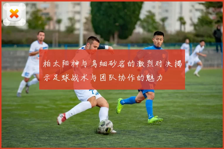 柏太阳神与鸟细砂岩的激烈对决揭示足球战术与团队协作的魅力