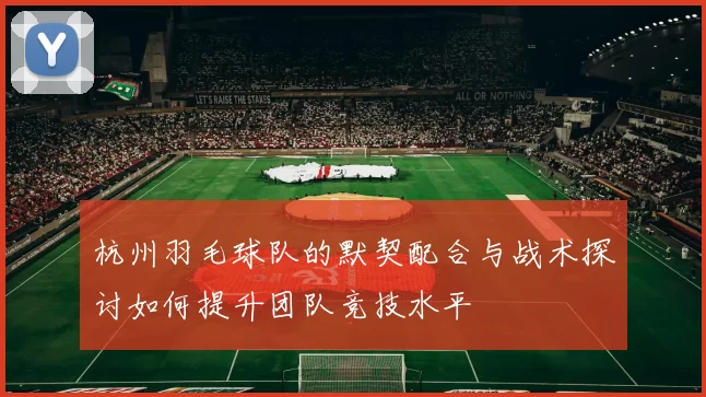 杭州羽毛球队的默契配合与战术探讨如何提升团队竞技水平