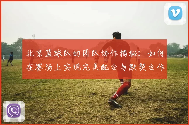 北京篮球队的团队协作揭秘：如何在赛场上实现完美配合与默契合作