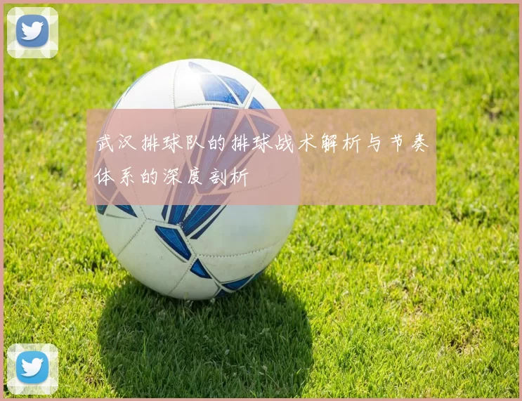 武汉排球队的排球战术解析与节奏体系的深度剖析
