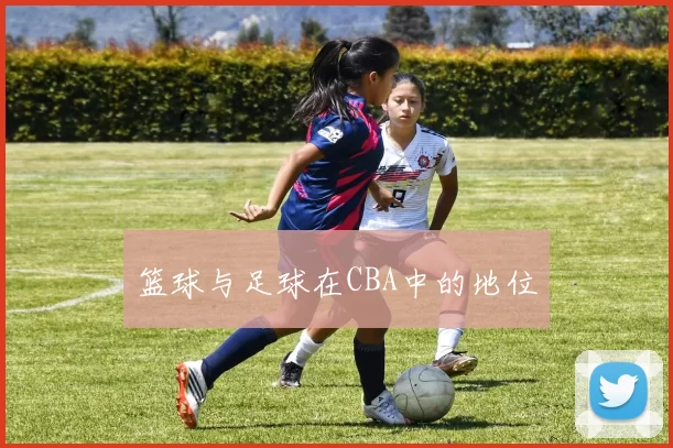 篮球与足球在CBA中的地位