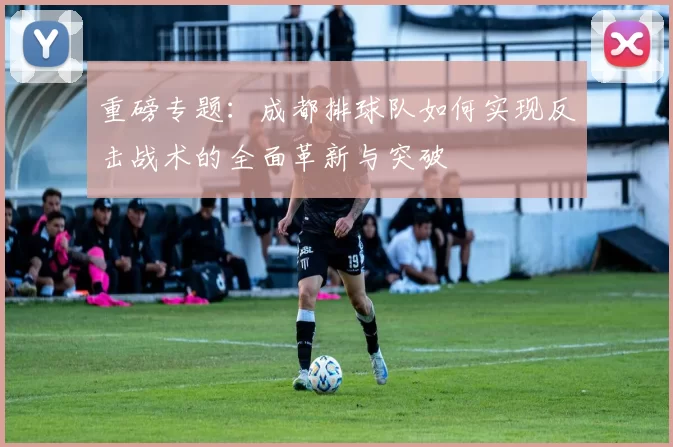 重磅专题：成都排球队如何实现反击战术的全面革新与突破